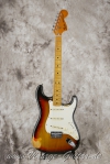 master picture Stratocaster