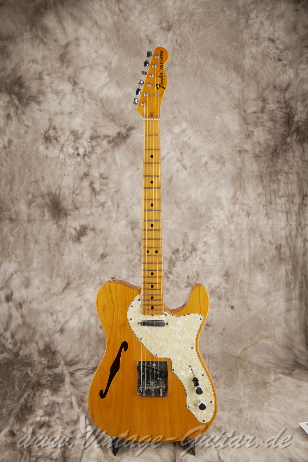 Fender_telecaster_thinline_natural_1969_USA-01.jpg Fender_telecaster_thinline_natural_1969_USA-01.jpg