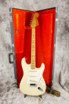 master picture Stratocaster