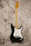 master picture Stratocaster